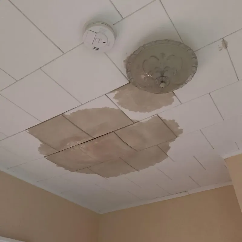 Ceiling Water Damage Repair in McDuffie County, GA