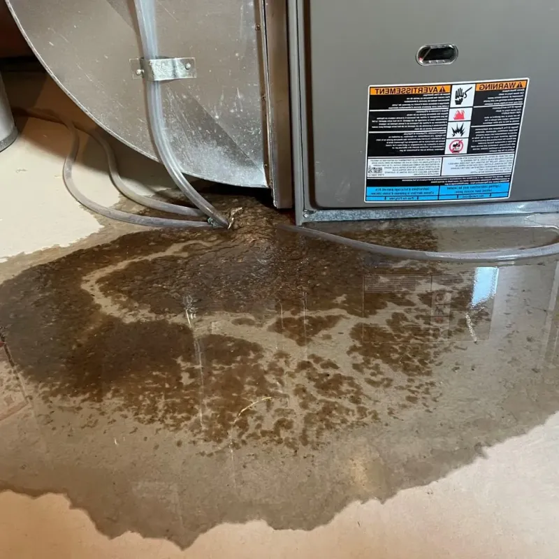 Pipe Burst and Leak Restoration in McDuffie County, GA